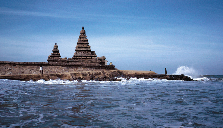 dolphins,spotting dolphins,spotting dolphins in india,tourist places in india,india tourism,travel,holidays