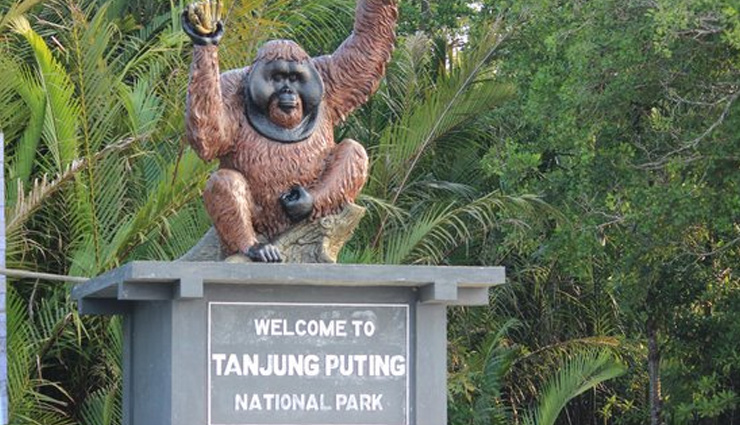 dieng plateau,borobudur temple,komodo national park,raja ampat,mount bromo,ubud,lake toba,tana toraja,tanjung puting national park,beautiful places,beautiful places in indonesia,indonesia