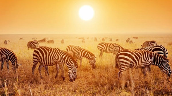 cheapest foreign places,foreign tours with low packages,holidays,tourism,vietnam,indonesia,laos,cambodia,tanzania