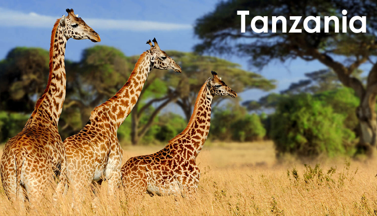 10 Must Visit Attractions in Tanzania