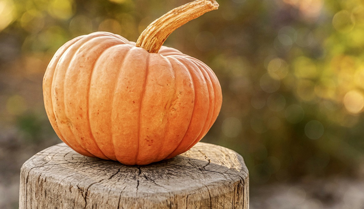 tapeworms,home remedies for tapeworms,home remedies,Health tips,fitness tips