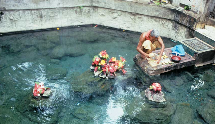 picnic spots to enjoy in odisha during winters,travel,tourism,holidays