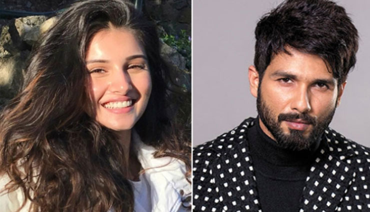 ‘SOTY 2’ actress Tara Sutaria is no more part of Shahid Kapoor’s Arjun Reddy remake