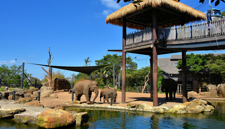 best zoo,best zoo across the world,zoo parks,travel,travel guide,holidays