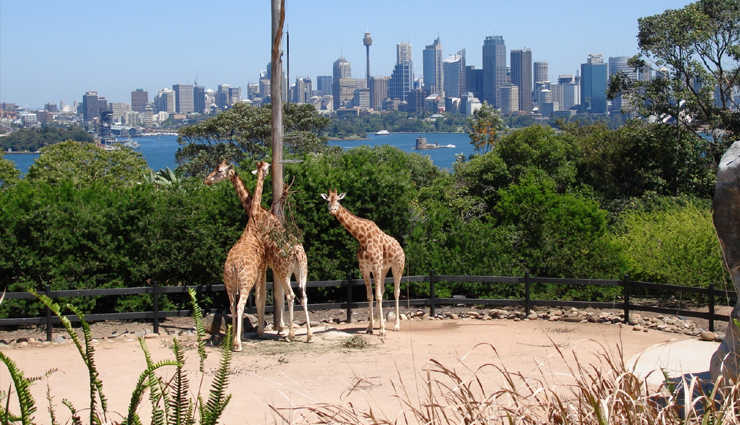 must visit zoo in the world,zoo,travel,travel guide,travel tips,holidays