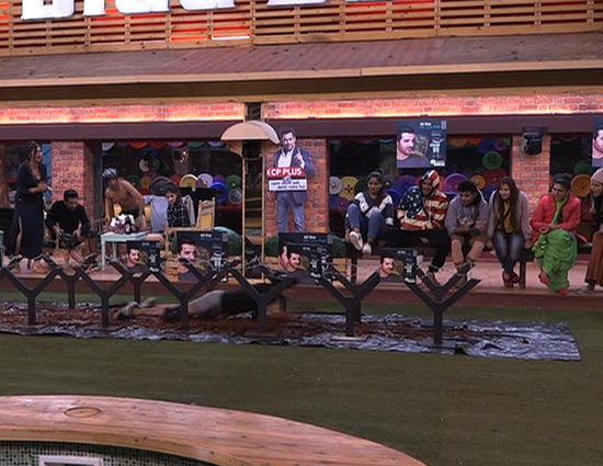 Bigg Boss 11- Akash and Arshi Become The Face of the Series