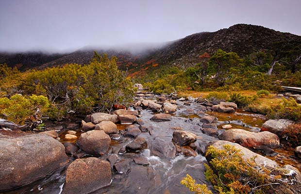 wild adventure places,adventure places in the world,wild places in the world,uttarakhand,himalayas,india,gila wilderness,new mexico & united states,patagonia,argentina & chile,sossusvlei,namibia,tasmanian wilderness,australia