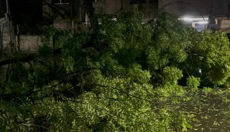 cyclone tauktae,gujarat,cyclone tauktae hit gujarat,cyclone tauktae news,hindi news,gujarat news