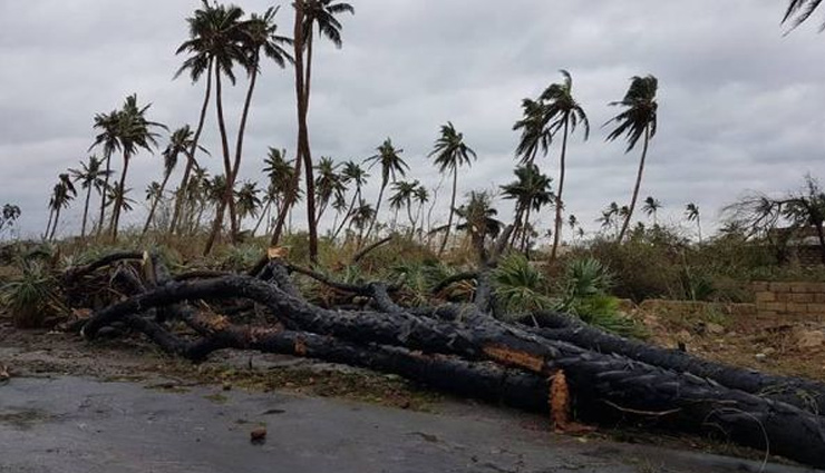 ताऊ ते ने गुजरात में मचाया कहर; 45 लोगों को हुई मौत, 2 लाख से ज्यादा पेड़ गिरे tauktae,tauktae cyclone,gujarat,tauktae news