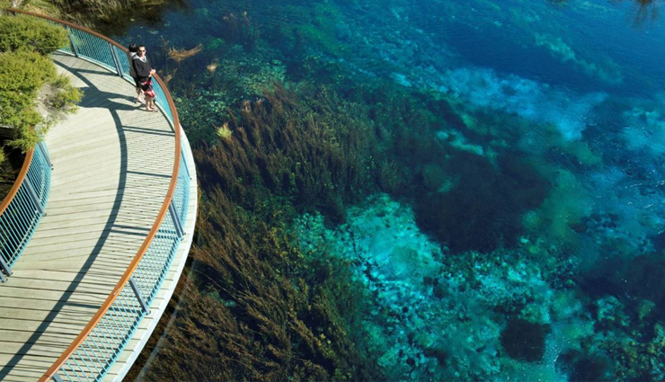 new zealand,short walk tracks,short walk tracks in new zealand,new zealand travel,travel tips,travel advisory