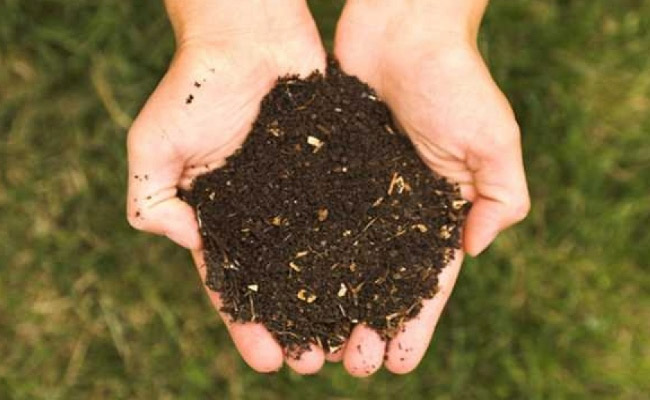 home remedies to get rid of dark circles,dark circles,under eye dark circles,beauty tips in hindi,dark circle removal tips in hindi