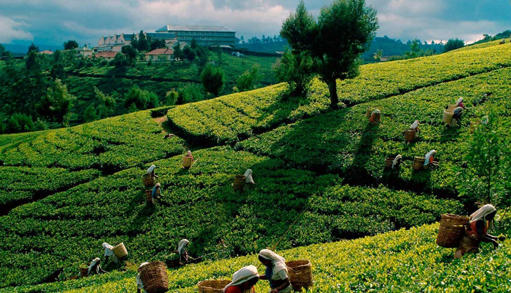 sri lanka,kandy sri lanka,sri lanka tourism,tourist places in sri lanka,travel,holidays