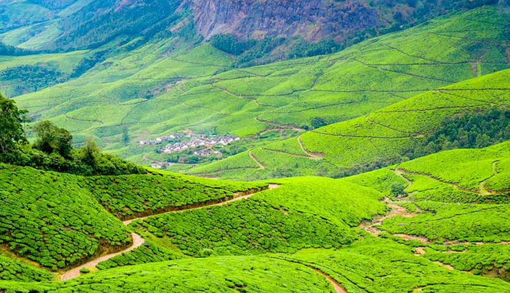 munnar hill station,travel munnar,munnar travel guide,places to visit in munnar,holidays,travel,travel guide