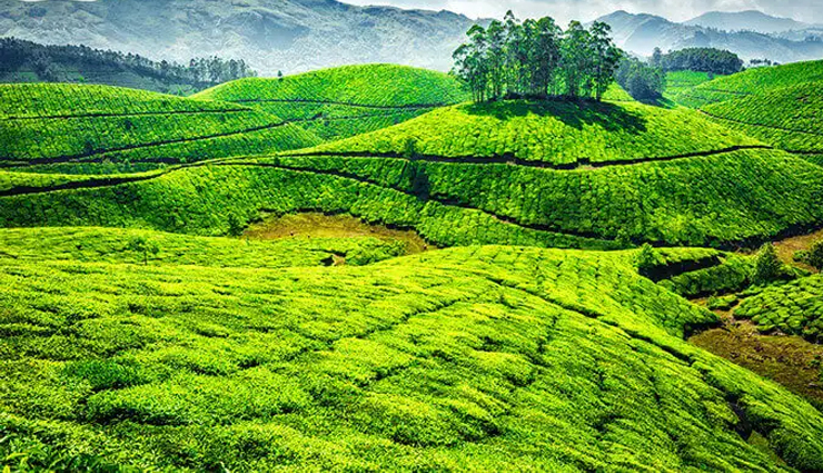 things to do in coonoor,coonoor attractions,must-see places in coonoor,coonoor travel guide,coonoor sightseeing,best activities in coonoor,coonoor tea estates,coonoor waterfalls