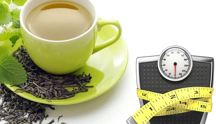 Organic Green Tea Leading To Weight Loss