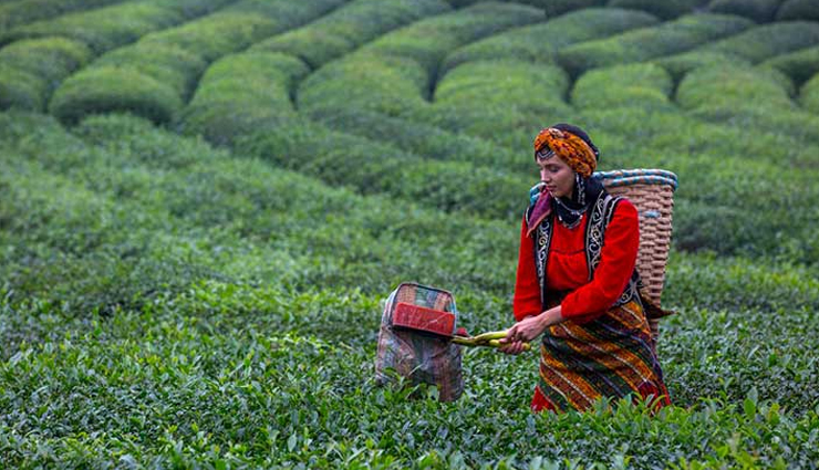6 Spectacular Tea Gardens To Visit in Istanbul