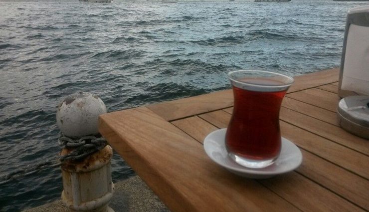 tea gardens to visit in istanbul,istanbul tea gardens,bebek kahve,cengelkoy cinaralti,dolmabahce cay bahcesi,firuzaga kahvesi,moda cay bahcesi,emirgan cinaraltı cafe