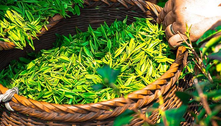 4 homemade sunscreen packs to keep your skin safe,sunscreen packs,home remedies for tanning,home made face packs,beauty tips for tanning,skin care tips,shea butter,zinc oxide,coconut oil,tea leaves