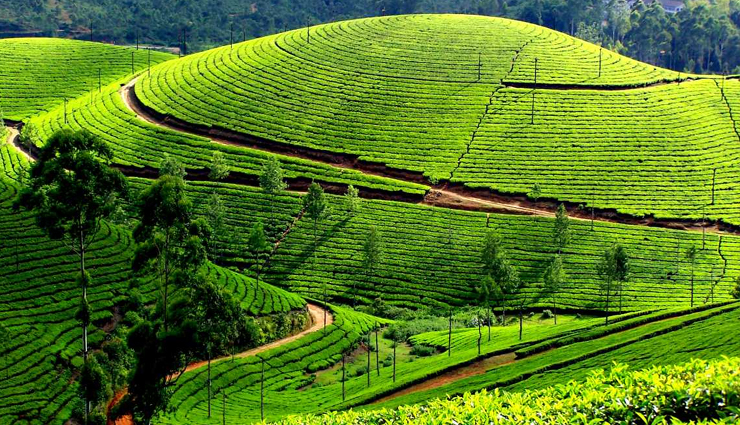 family holiday,places perfect for family holiday,travel,travel guide,india tourism,tourist places in india,india holidays,holidays,travel guide,travel tips