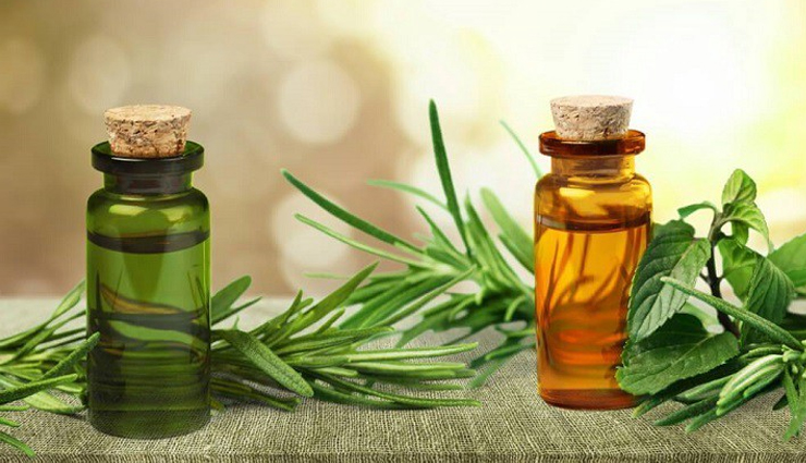 tea tree oil health benefits,uses of tea tree oil for health,tea tree oil benefits guide,health benefits of tea tree essential oil,tea tree oil healing properties,natural health benefits tea tree oil,tea tree oil for wellness,tea tree oil benefits explained