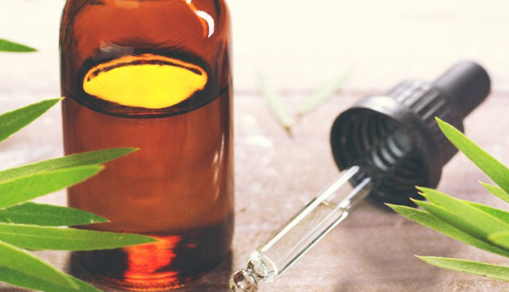 tea tree oil,tea tree oil for acne,acne care tips,beauty tips,skin care tips,tips to get rid of acne