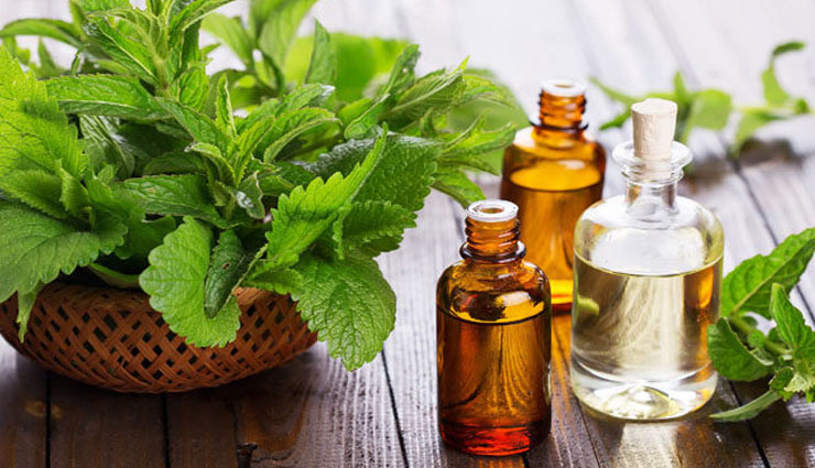 steam water,use of steam water,steam water for skin,steam water for beautiful skin,fennel,lavender,t-tree essential oil or parsely,sandalwood,beauty,beauty tips,simple beauty tips,skin care tips,skin care