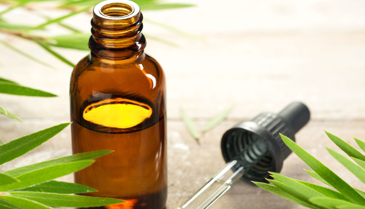 10 Benefits and Uses of Tea Tree Oil