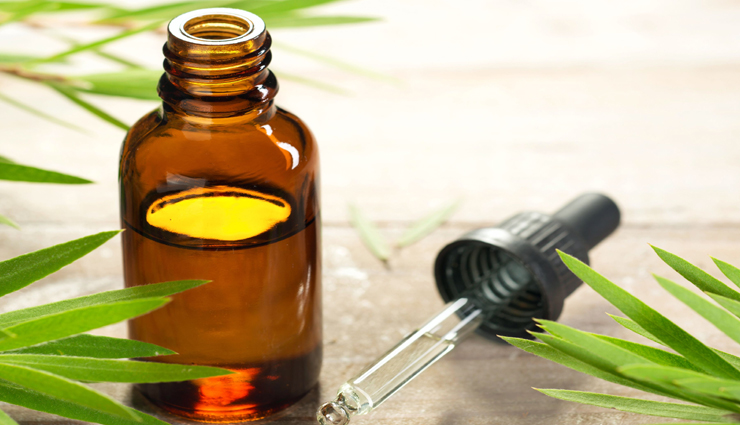 इन 6 तरीको से चहरे पर करें सौंफ का इस्तेमाल, मिलेगी बेदाग़ और खूबसूरत त्वचा beauty tips,beauty tips in hindi,fennel for skin,skin care tips