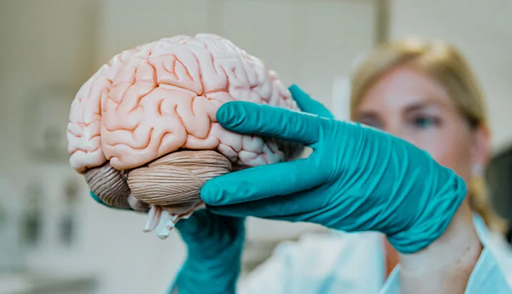 consuming sesame in winter gives miraculous benefits know and include it in the diet,Health,healthy living