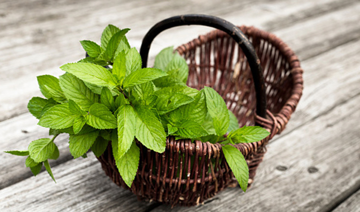 natural remedies for toothache relief,home remedies for toothache without medicine,toothache relief without drugs,healing tooth pain naturally,holistic toothache remedies,non-medicated solutions for toothache,herbal remedies for toothache relief,traditional toothache treatments at home,diy toothache remedies,alleviate tooth pain naturally