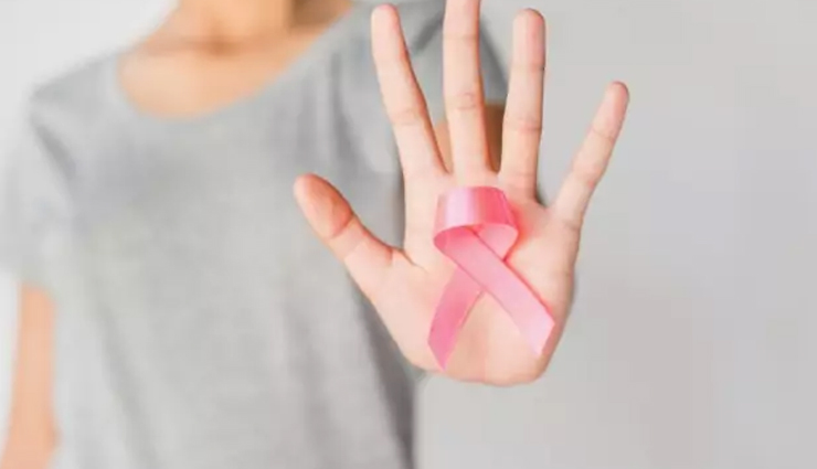 tej patta,health benefits of tej patta,Health tips,fitness tips,bay leaves,health benefits of bay leaves