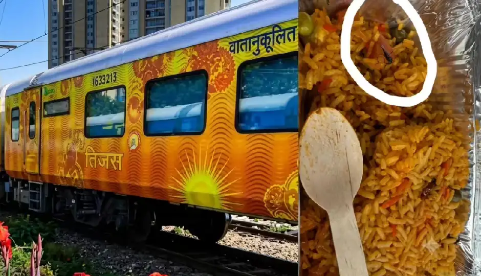 तेजस एक्सप्रेस के खाने में मिली मक्खी, IRCTC ने दिखाई सख्ती; कैटरिंग ठेकेदार पर 1 लाख रुपये का जुर्माना