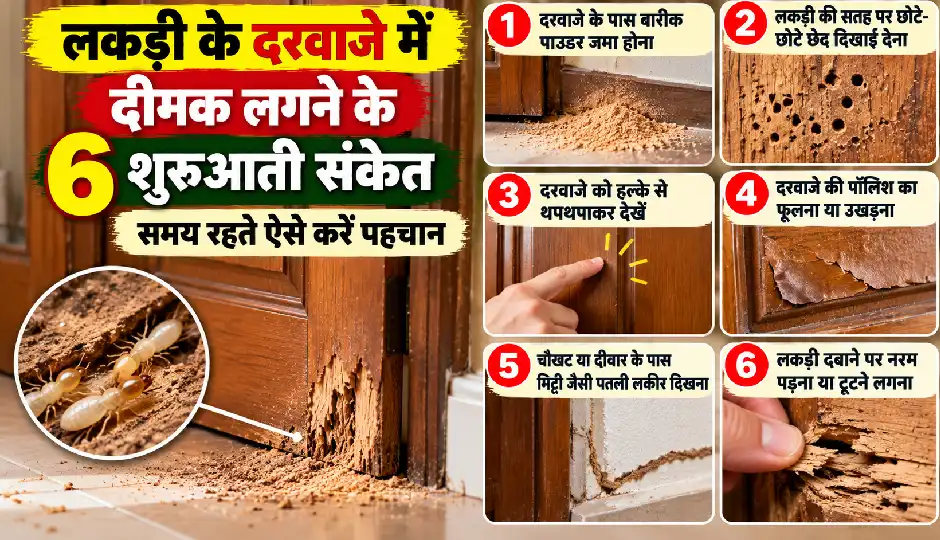 लकड़ी के दरवाजे में दीमक लगने के 6 शुरुआती संकेत, समय रहते ऐसे करें पहचान