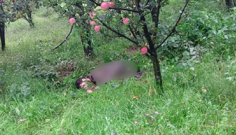 J&K: कुलगाम में सुरक्षाबलों और आतंकवादियों के बीच मुठभेड़, एक आतंकी ढेर, ऑपरेशन जारी