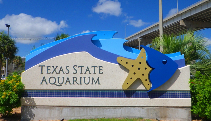 dolphin aquariums,zoos with dolphins,aquariums featuring dolphins,dolphin exhibits in zoos,best dolphin aquariums,top zoos for dolphin encounters,dolphin shows at aquariums,family-friendly dolphin attractions,where to see dolphins in aquariums,educational dolphin encounters in zoos,dolphin experiences for visitors,dolphin habitats in aquariums,zoological parks with dolphins,interactive dolphin tours,dolphin conservation in aquariums,close encounters with dolphins,popular zoos with dolphin shows,aquariums and zoos for dolphin lovers,dolphin-themed attractions,dolphin conservation efforts in zoos