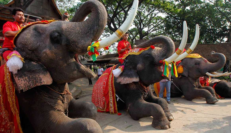 thailand,famous things in thailand,places to visit in thailand