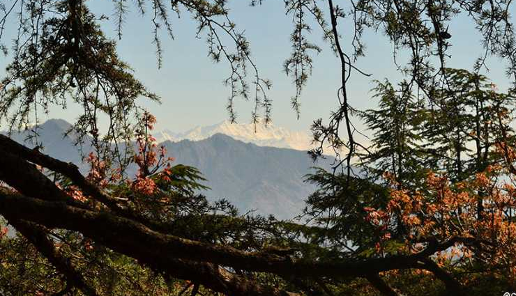 chakrata tourist places,best places to visit in chakrata,chakrata uttarakhand attractions,chakrata sightseeing spots,chakrata travel destinations,chakrata weekend getaways,chakrata hill station,chakrata natural beauty,chakrata adventure activities,chakrata trekking spots,chakrata camping sites,chakrata scenic views,chakrata historical sites,chakrata offbeat places,chakrata travel guide