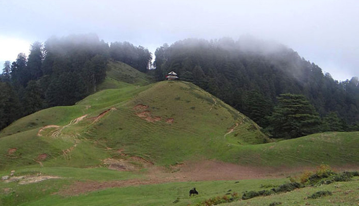 chakrata attractions,must-visit places,chakrata travel guide,chakrata sightseeing,chakrata tourism,top destinations in chakrata,places to see in chakrata,chakrata hill stations,chakrata points of interest,chakrata landmarks