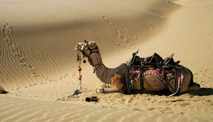 natural wonders,natural wonders in india,india tourism,tourist places in india,india travel,holidays,travel guide