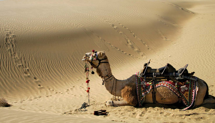 rajasthan,rajasthan trip,rajasthan tourism,tourist places in rajasthan,rajasthan travel