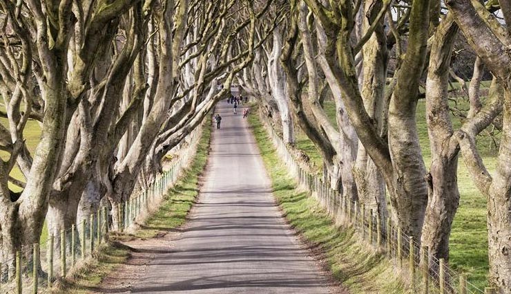 chile,australia,northern ireland,5 breathtaking places to visit once in a lifetime,best places in the world,whitehaven beach,the fairy pools on the isle of skye,scotland,marble caverns of carrera lake,havasu falls,grand canyon national park,the dark hedges