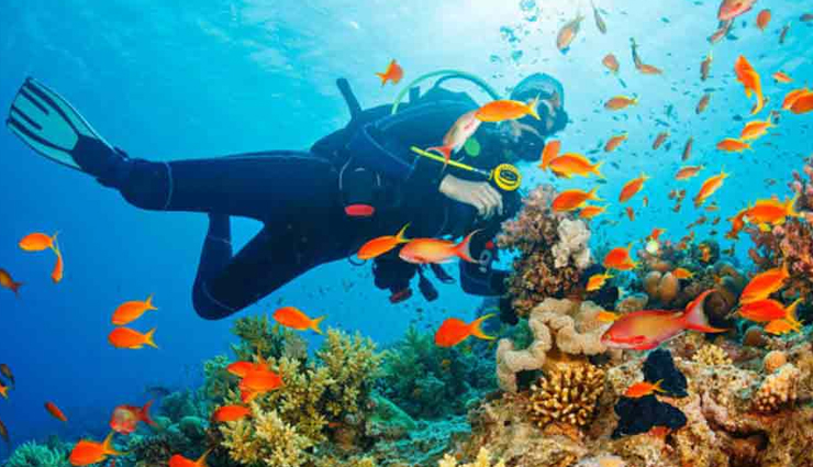 hidden destination in india,couple,honeymoon destinations in india,india tourism,tourist places in india,the himalayan hamlet of mashobra,the trekking paradise of triund,the quaint hill station of khajjiar,the maddening charm of cherrapunji,the imposing climate of chaukori,the magic of mararikulam,the jolts of the jalori pass,the awe- inspiring beauty of alleppey,the awe- inspiring beauty of alleppey,the heaven of scuba diving,havelock island,the impeccable richness of imphal,the love nest of nashik,india,india tourism,tourist places