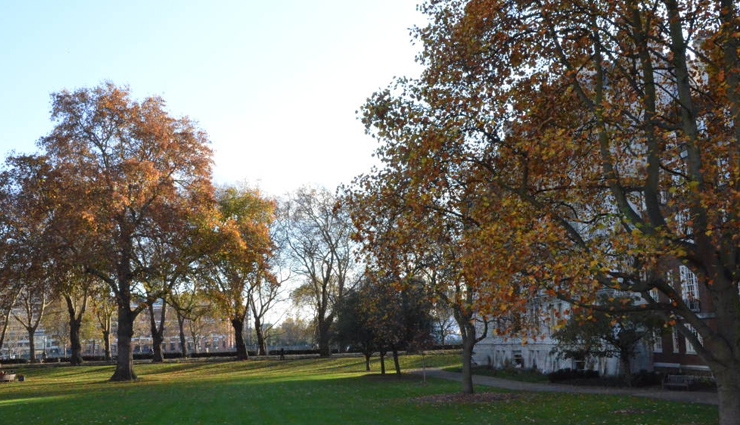 holidays,travel,5 beautiful streets to walk in london,most beautiful streets of london,places to go for walk in london,london guide,travel stories,places to be visited in london