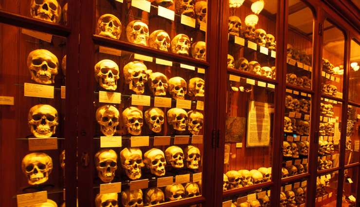 unique museums of the world,unique museums,international spy museum,washington,sulabh international museum of toilets,india,museum of bad art,united states,avanos hair museum,turkey,the mutter museum,ramen museum,wellcome collection,messner mountain museum,bran castle,travel,holidays,travel guide,holidays tips