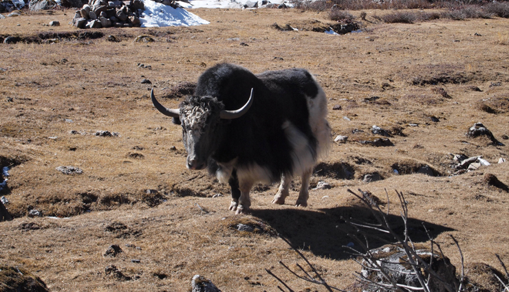 tawang,offbeat destinations to explore in tawang,travel,travel tips