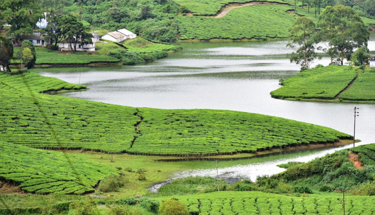 offbeat tourist places in tamil nadu,hidden gems of tamil nadu,unexplored destinations in tamil nadu,tamil nadu secret treasures,lesser-known attractions in tamil nadu,unique places to visit in tamil nadu,tamil nadu hidden tourist spots,underrated places in tamil nadu,tamil nadu non-touristy places,quaint villages in tamil nadu,tamil nadu cultural experiences,eco-friendly tourism in tamil nadu,tamil nadu heritage sites,tamil nadu historical villages,tamil nadu nature retreats,tamil nadu hidden temples,tamil nadu scenic drives,tamil nadu off the beaten path,remote villages in tamil nadu,tamil nadu serene getaways