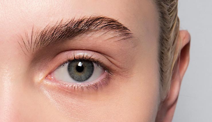 काली और घनी आईब्रो की चाहत को पूरा करेंगे ये घरेलू नुस्खें, जानें और आजमाए