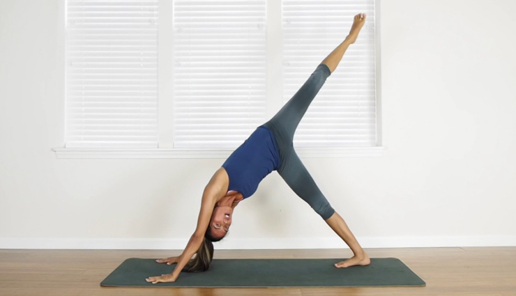 standing slow side kick,side lunge,squat kick,side hip raise with band,single-leg circles,single-leg squat,hip lifts on the ball,squats,three legged dog pose,butterfly pose,exercises to reduce hips and thighs fat,fat reduce exercises,Health tips,fitness tips