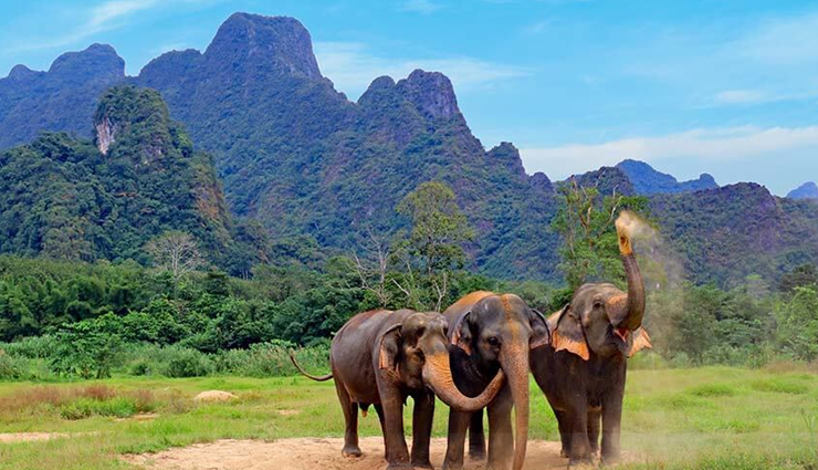 things couples should do in thailand,holiday,travel,tourism