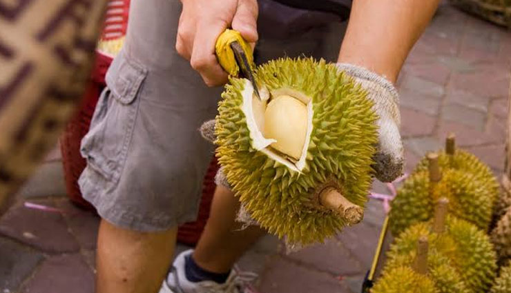 things banned in malaysia,malaysia,rules of malaysia